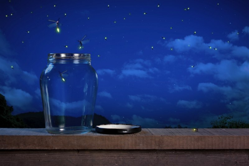 /data/zo2014/istock-000031223506large-large.jpeg