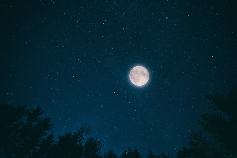/data/zo2017/night-2938792.jpg